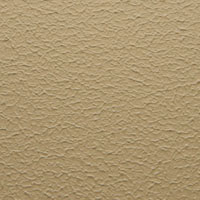  Texture Image Here