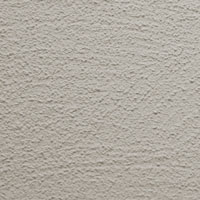  Texture Image Here