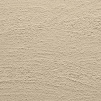 Texture Image Here