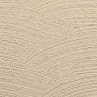  Texture Image Here
