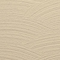  Texture Image Here