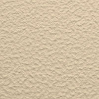  Texture Image Here