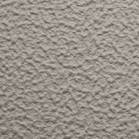  Texture Image Here